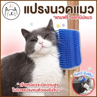 KUMA ま แปรงนวดแมว แปรงหวีขน แบบเข้ามุม ที่นวดแมว แถมฟรี! แคทนิปแมว แปรงนวดขนแมว Cat Self Groomer