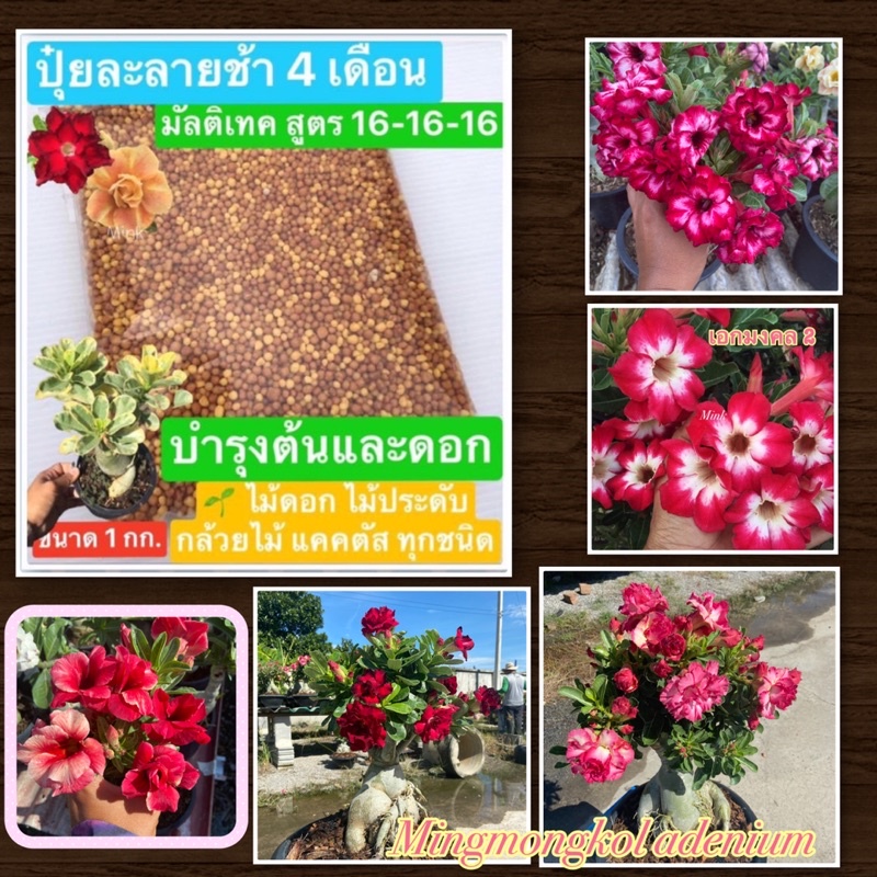 ปุ๋ยละลายช้า  16-16-16 มัลติเทค *แบบแบ่งจำหน่าย