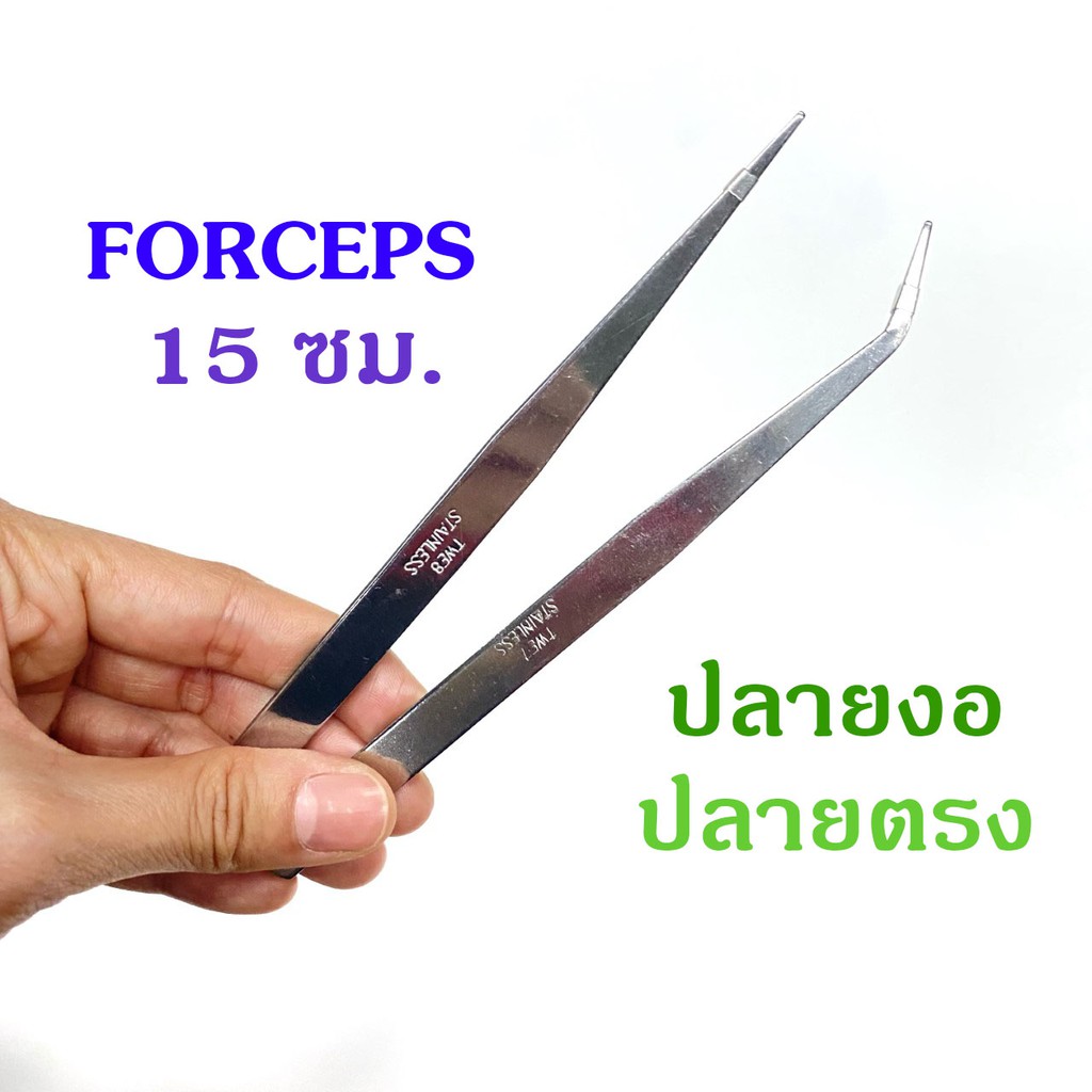 ปลายตรง ปลายงอ 15 ซม. ฟอร์เซป คีม ฟอร์เซปสแตนเลส ขนาด 15 ซม. คีบหนีบกระถางแคคตัส คีบหนีบสแตนเลส คีมหนีบอเนกประสงค์