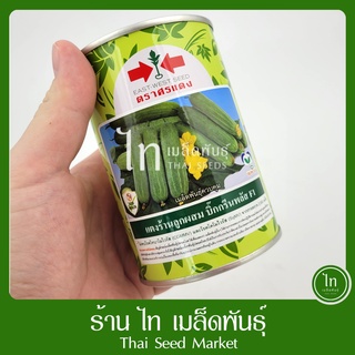 แตงร้าน บิ๊กกรีนพลัส บิ๊ก กรีน พลัส F1 เมล็ดพันธุ์ แตงร้าน ลูกผสม ตรา ศรแดง บรรจุ 100 กรัม