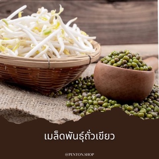 เมล็ดพันธุ์ถั่วเขียว10 เมล็ด 🔺ขั่นต่ำโปรดสั่งสินค้าภายในร้าน30บาทขึ้นไปค่ะ