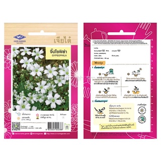 เมล็ด จิ๊ปโซฟิล่า (GYPSOPHILA) เจียไต๋ ตราเครื่องบิน บรรจุประมาณ 1 กรัม