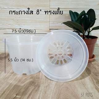 37POTS ซื้อ 1 แถม 1 กระถางใส 8 นิ้ว ทรงเตี้ย เน้นการดูราก