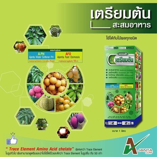 เตรียมต้น สะสมอาหาร ปุ๋ยทางใบ ก่อนราดสาร ใบใหญ่ ใบเขียวเข้ม …