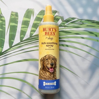 เบิร์ตบีส์ สเปรย์ สำหรับสุนัข ผิวแห้ง คัน Itch-Soothing Spray for Dogs with Honeysuckle 296 ml (Burts Bees®)