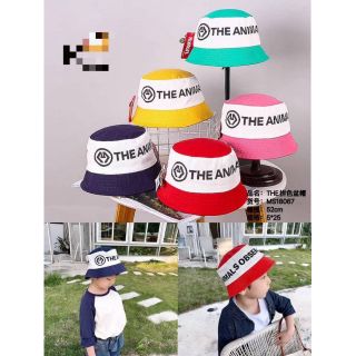 หมวกปีกรอบเด็ก The Annimals 2โทน สีสันสดใส เท่ๆ⭐