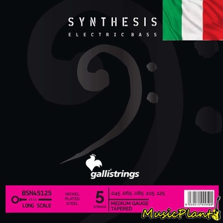 GalliStrings สายเบสไฟฟ้า galli รุ่น SYNTHESIS NICKEL 4 และ 5 สาย