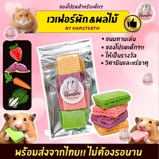 [Hamsterthailand] Furity Wafer เวเฟอร์ ขนมสำหรับสัตว์เลี้ยง แฮมสเตอร์ เม่นแคระ แฟตเทล ชูการ์