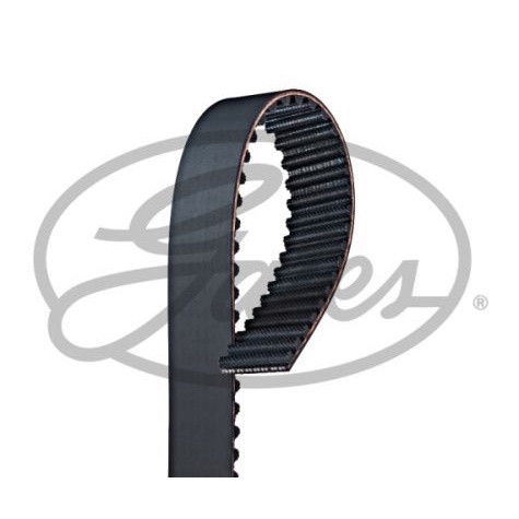 Gates Timing Belt 113RU24 Dayco 4PK1060 6PK1985 V เข็มขัด Ribbed Honda Odyssey 2.2 RA1