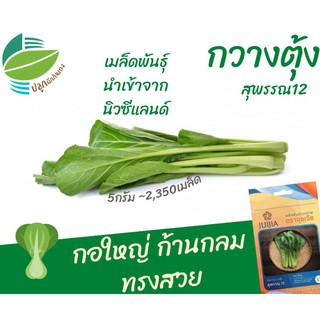 ผักกาดกวางตุ้ง​ (Pak Choy)​