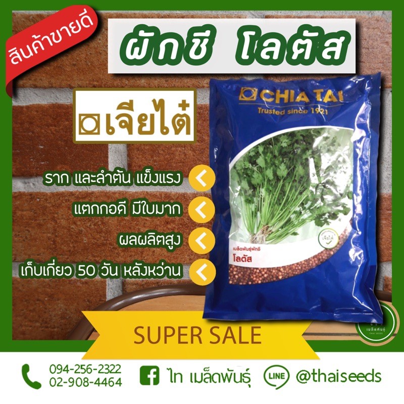 ผักชี โลตัส เมล็ดพันธุ์ ผักชี ตราเจียไต๋ บรรจุ 300 กรัม