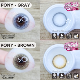 บิ๊กอาย**‼️Pony (เทา,นต)**WINKLENS