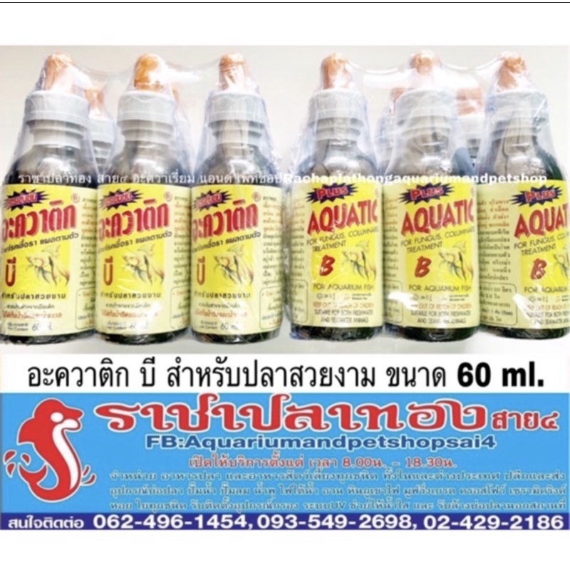 My Image 38