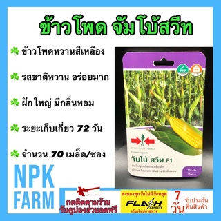 ผักซอง ศรแดง ข้าวโพดจัมโบ้สวีท จำนวน 70 เมล็ด/ซอง เมล็ดพันธุ์ ข้าวโพด ลอตใหม่ เมล็ดสีเหลืองสด รสชาติหวาน อร่อย กลิ่นหอม