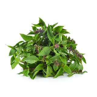 โหระพาฝรั่ง 100 กรัม/100 grams sweet basil