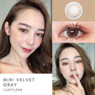 ⚡Luxzylens⚡Mini Velvet Gray💥คอนแทคเลนส์mini💥คอนแทคเลนส์กรองแสง💥แถมฟรีตลับทุกคู่