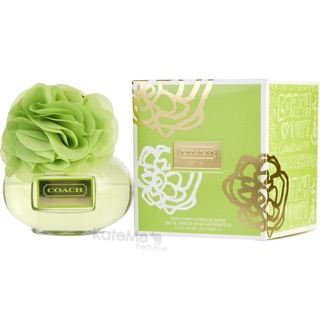 Coach Poppy Citrine Blossom EDP 100 ml.