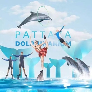 บัตรว่ายน้ำกับโลมา Pattaya Dolphinarium