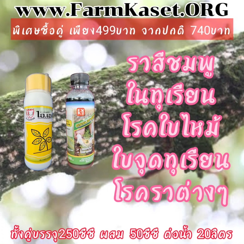 ป้องกันกำจัด โรคราสีชมพู ในทุเรียน