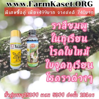 ป้องกันกำจัด โรคราสีชมพู ในทุเรียน