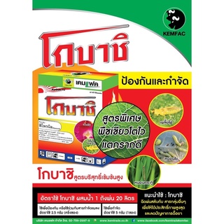 โกบาชิ ฟิโปรนิล80%🌾🐜🐞