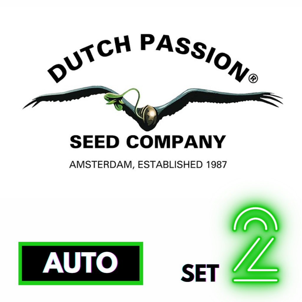 🔥Preorder🔥เมล็ดค่าย🌱Dutch Passion 🌱Auto⭐️ส่งฟรี🚨มีปลายทาง ส่งตรงจากนอกแท้100%⭐️ยกแพค/แยกเมล็ด⭐️อย่าเ