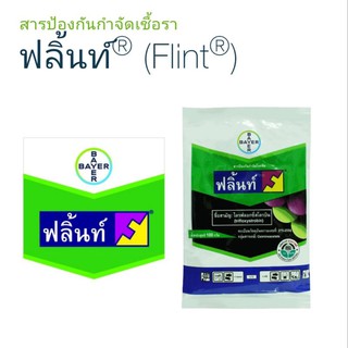 ฟลิ้นท์(Flint®)ยาเชื้อราและทำให้ใบเขียวสวย