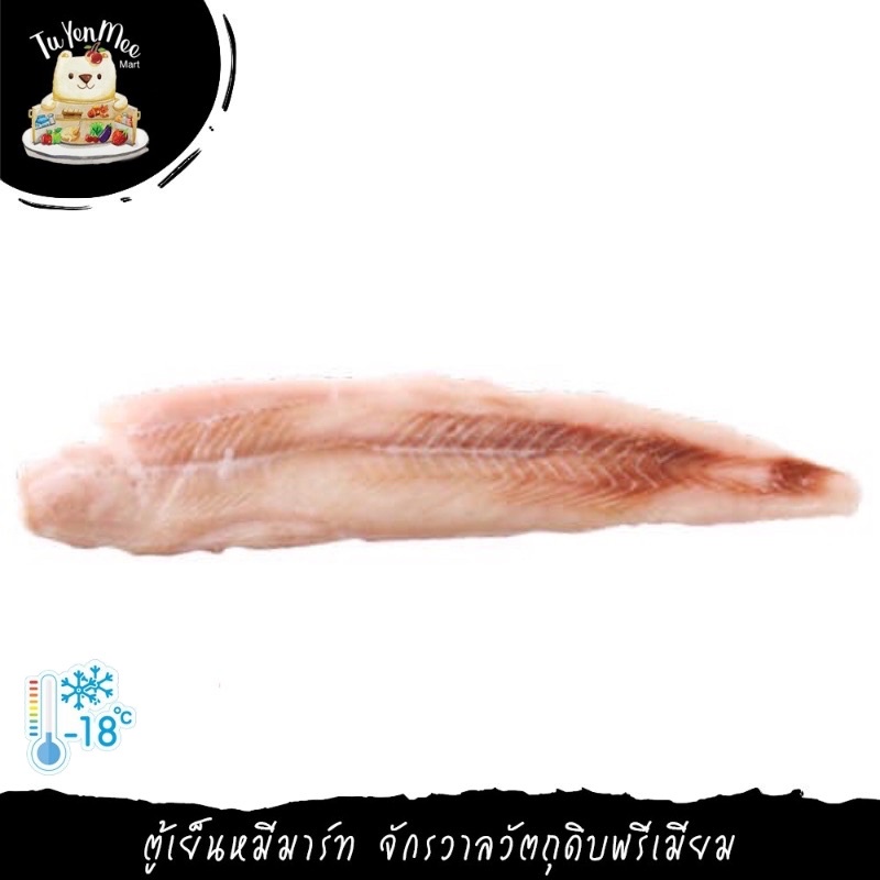 450G/PIECE เนื้อปลากะพงแสมลอกหนัง SEA BASS FILLET SKINLESS