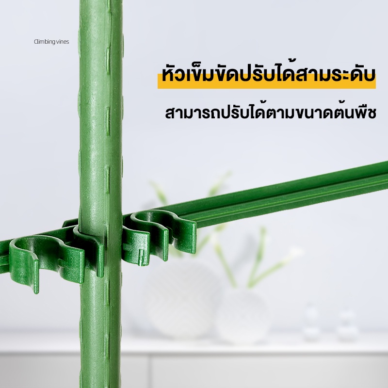 ไม้ค้ำต้นไม้ DIY โครงปลูกผัก เสามะเขือเทศ เหล็กเคลือบพลาส ซุ้มไม้เลื้อย ยาว90-120ซม. หนา8มม. ไม้ค้ำยันต้นไม้ ค้างต้นไม้ ราคา ถูกที่สุด ดีลบีเคเค แกลเลอรีภาพที่ 3