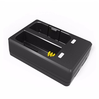 SJCAM SJ10 Series - Dual Battery Charger