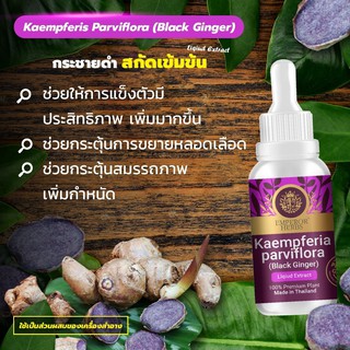 กระชายดำ Kaempferia Parviflora Black Extracted (High Concentration) สารสกัดกระชายดำ เข้มข้นสูง ชนิดน้ำ ขนาด 30 มล.