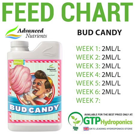 Advanced Nutrients Bud Candy เพิ่มความหวาน กลิ่น น้ำมัน ให้ดอก