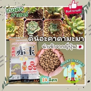 🏜️ ดินญี่ปุ่น อะคาดามะ Akadama / คานูมะ Kanuma สินค้านำเข้าจากประเทศญี่ปุ่น ยี่ห้อ Ryusen