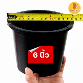 กระถางต้นไม้ กระถาง กระถาง6นิ้ว กระถางเพาะปลูก กระถางดำ กระถางต้นไม้พลาสติก สีดำ 6 นิ้ว