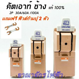 คัทเอาท์ ช้าง 2P 30A 60A100A  คัทเอาท์ภายใน ภายนอกอาคาร แบบ สับทางเดียว (แถมฟรีฟิวส์ก้ามปู 2 ตัว) สะพานไฟ