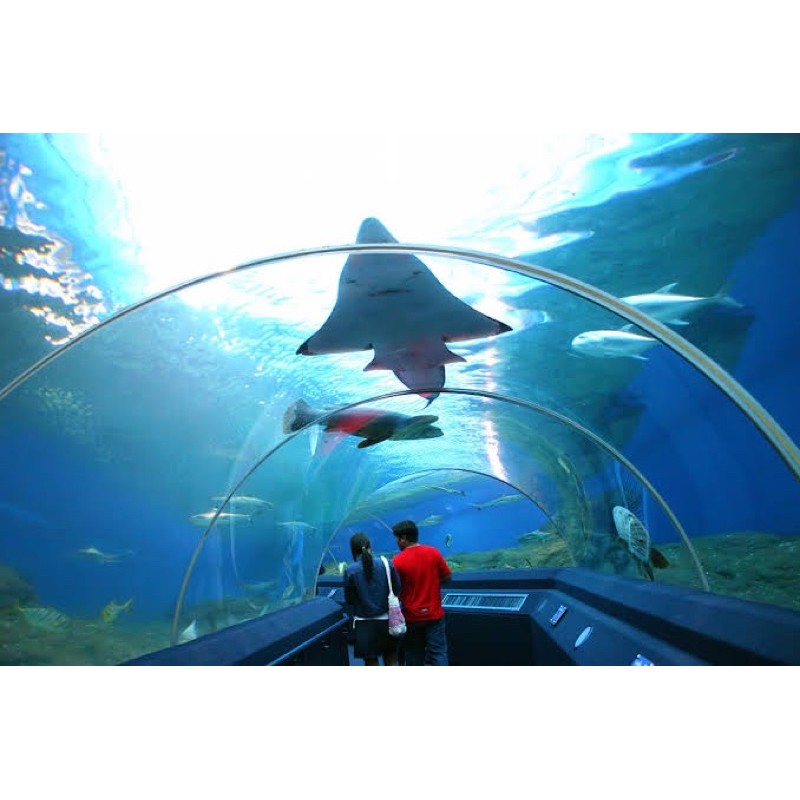 Underwater World Pattaya อันเดอร์วอเตอร์เวิลด์ พัทยา