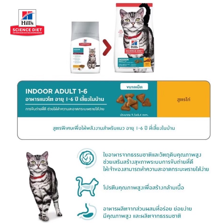 Hill's Science Diet อาหารแมว สูตร Science Diet Adult Indoor 1.6 kg