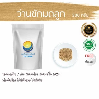 ว่านชักมดลูกผง 100% (ตัวเมีย) บรรจุซองฟรอยด์ซิป กันร้อน กันชื้น / ผงว่านชักมดลูก ว่านชักมดลูก