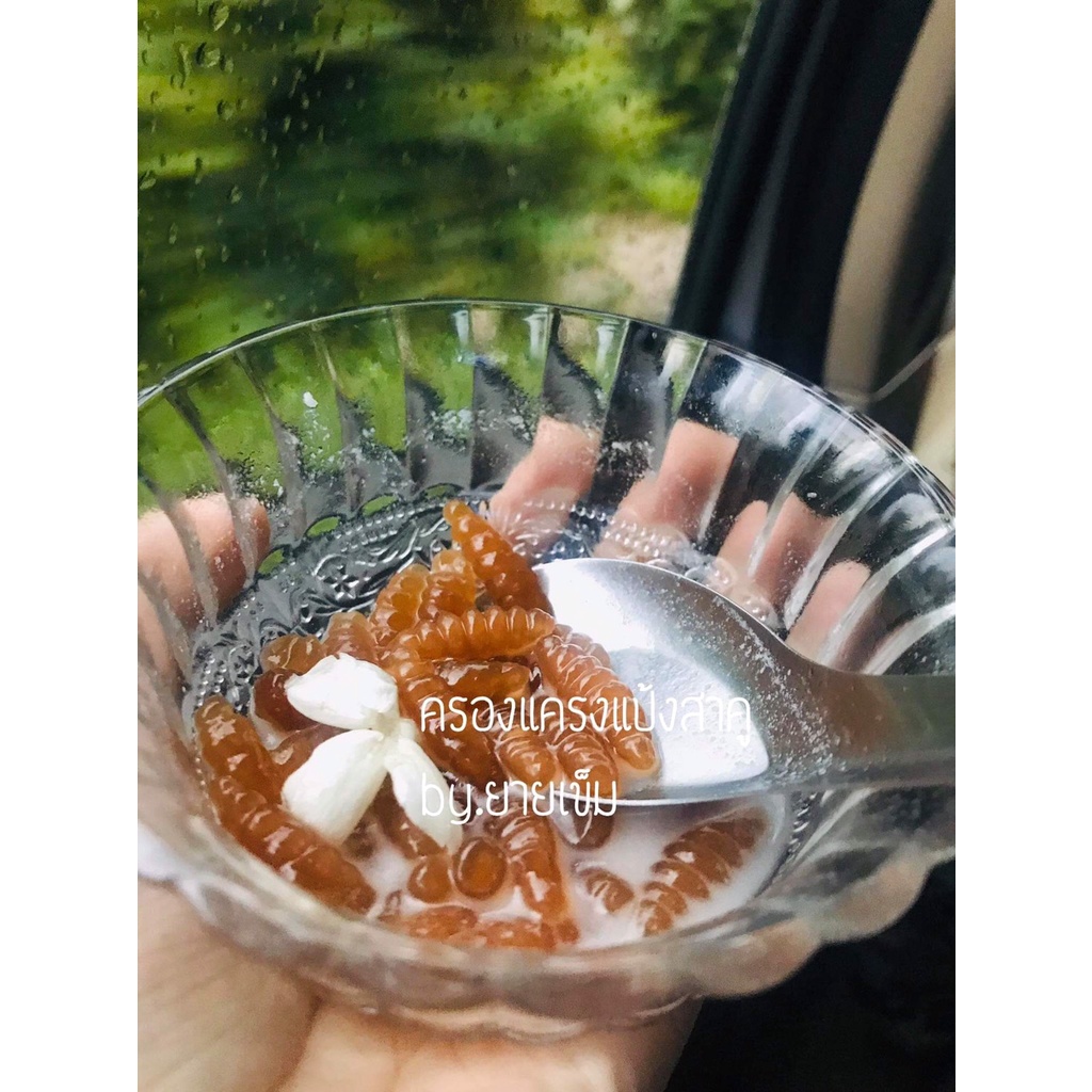 ครองแครง ตัวหนอนสาคูต้นHome madeแท้100% ต้นตำรับสูตรคุณยายBy Jasmine ปั้นสดใหม่ ไม่ใช้สารกันเสีย เหน