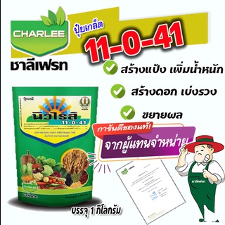 11-0-41 นิวไรส์ พร้อมธาตุอาหารรอง-เสริม ปุ๋ยเกล็ด ชาลีเฟรท ขยายผล เพิ่มน้ำหนัก สูตรระเบิดหัว บรรจุ 1 กิโลกรัม