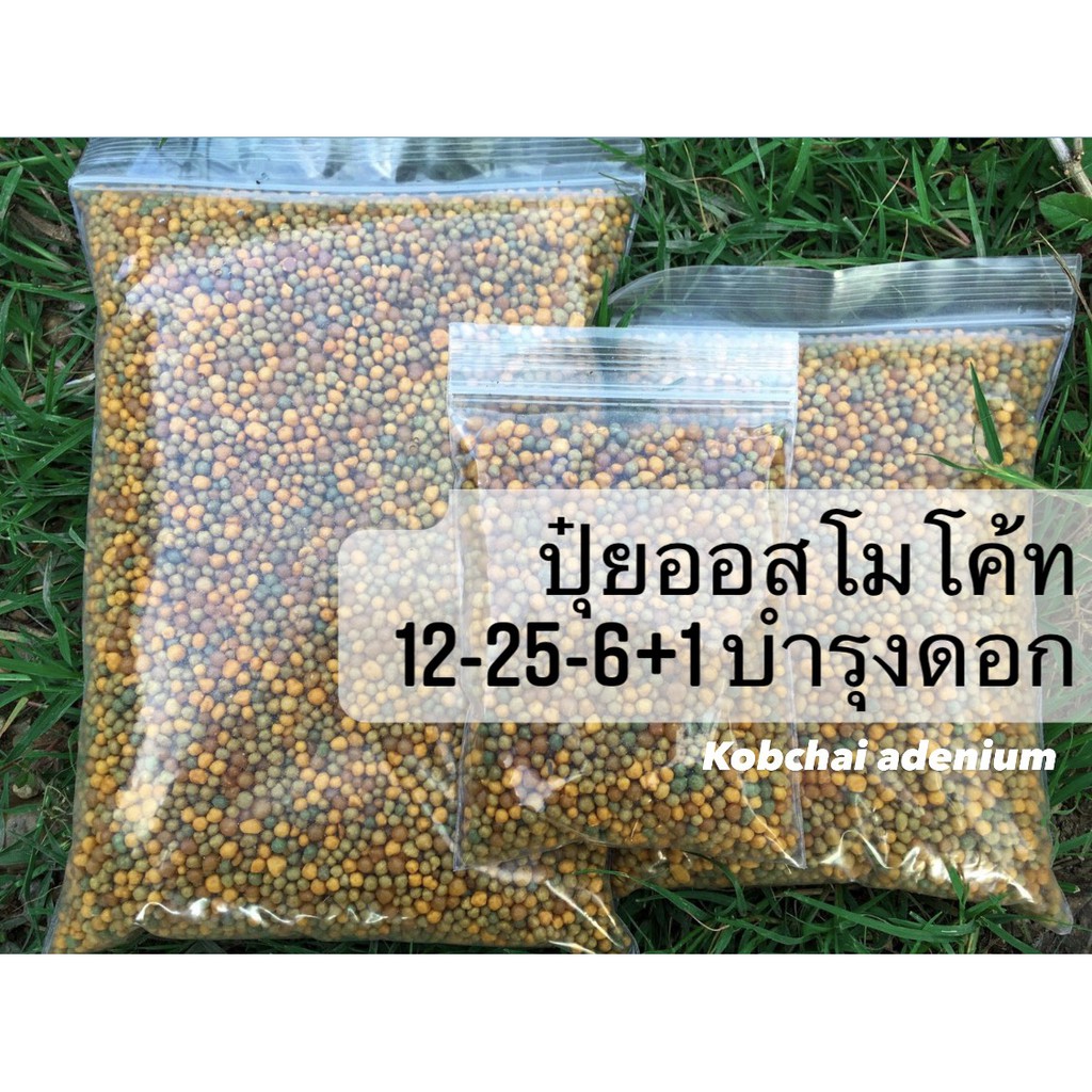 ปุ๋ยออสโมโค้ทพลัส ละลายช้า 6 เดือน สูตร 12-25-6+1 ขนาด100 กรัม