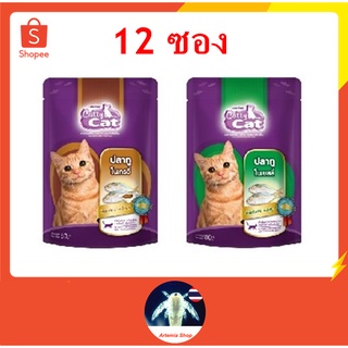 12 ซอง Catty cat อาหารแมวเปียก ปลาทู ในเยลลี และ ปลาทู ในเกรวี สำหรับอายุ1เดือนขึ้นไป 80g.