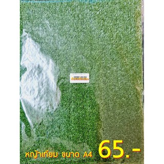 หญ้าเทียม ขนาด A4 ขนาด 25x34 ซม.