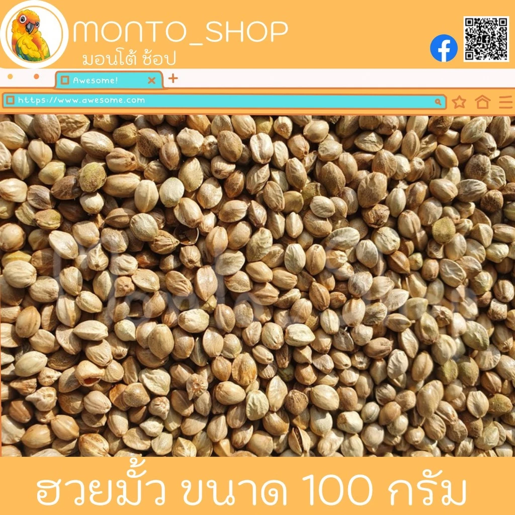 อาหารนก เมล็ดฮวยมั้ว แบ่งแพ็ค ขนาด 100g.