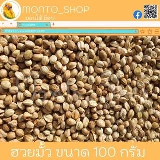อาหารนก เมล็ดฮวยมั้ว แบ่งแพ็ค ขนาด 100g.