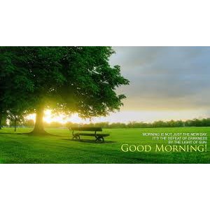 หัวน้ำหอมกลิ่น double fresh morning 002356