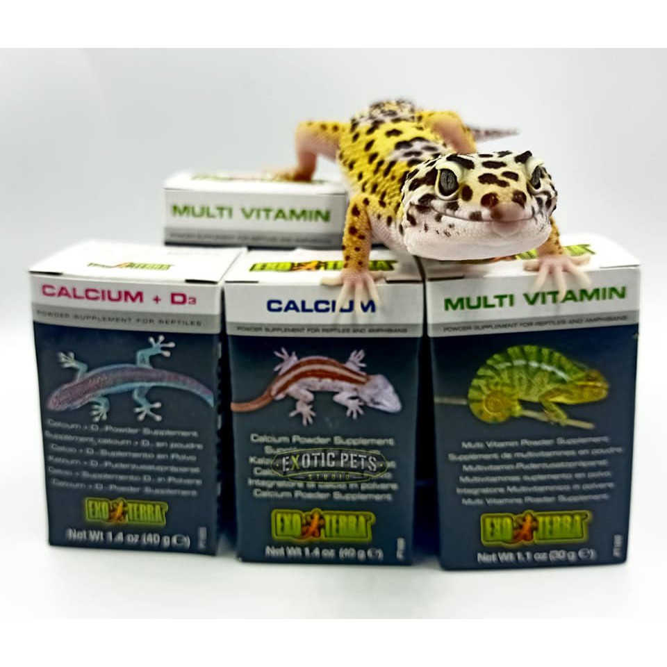 แคลเซียมผงสำหรับสัตว์เลื้อยคลาน ขนาด 90G แท้100% Exoterra Calcium Supplement - รูปที่ 2