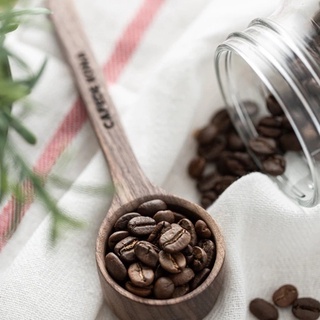 ช้อนตวงกาแฟ วัสดุไม้ ขนาดจุ 8 / 10 กรัม | Home Drip Coffee
