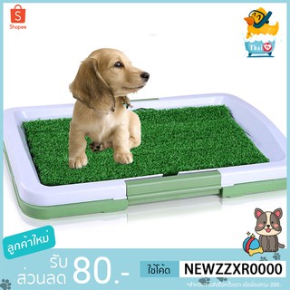 Thai.Th ห้องน้ำสุนัข ถาดฝึกฉี่ ถาดรองฉี่ Dog Toilet Pad พร้อมหญ้าเทียม สำหรับฝึกให้สุนัขขับถ่าย รุ่นDS-111