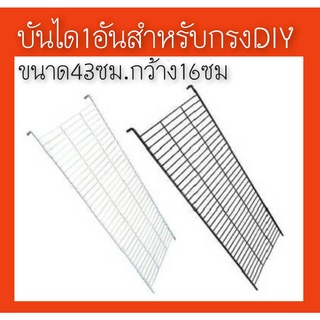 กรงDIYบันได  สำหรับกรงDIY  1 อัน ขนาด16ซม*43ซมบรรได เป็นเหล็ก มีสองสีให้เลือก ดำ ขาว  ขนาด 16*43ซม